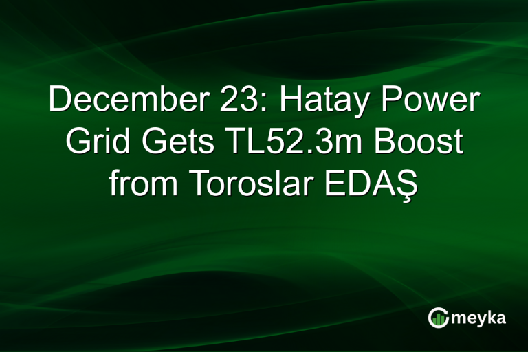 December 23: Hatay Power Grid Gets TL52.3m Boost from Toroslar EDAŞ