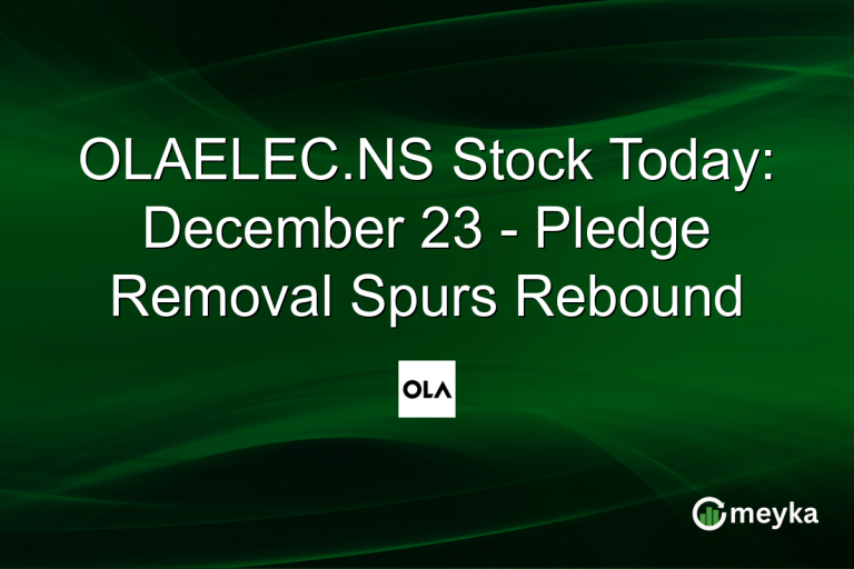 OLAELEC.NS Stock Today: December 23 - Pledge Removal Spurs Rebound