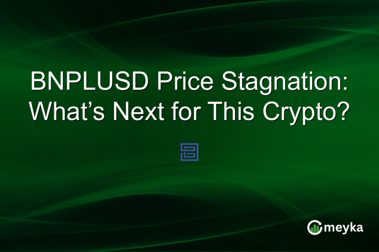 BNPLUSD Price Stagnation: What’s Next for This Crypto?