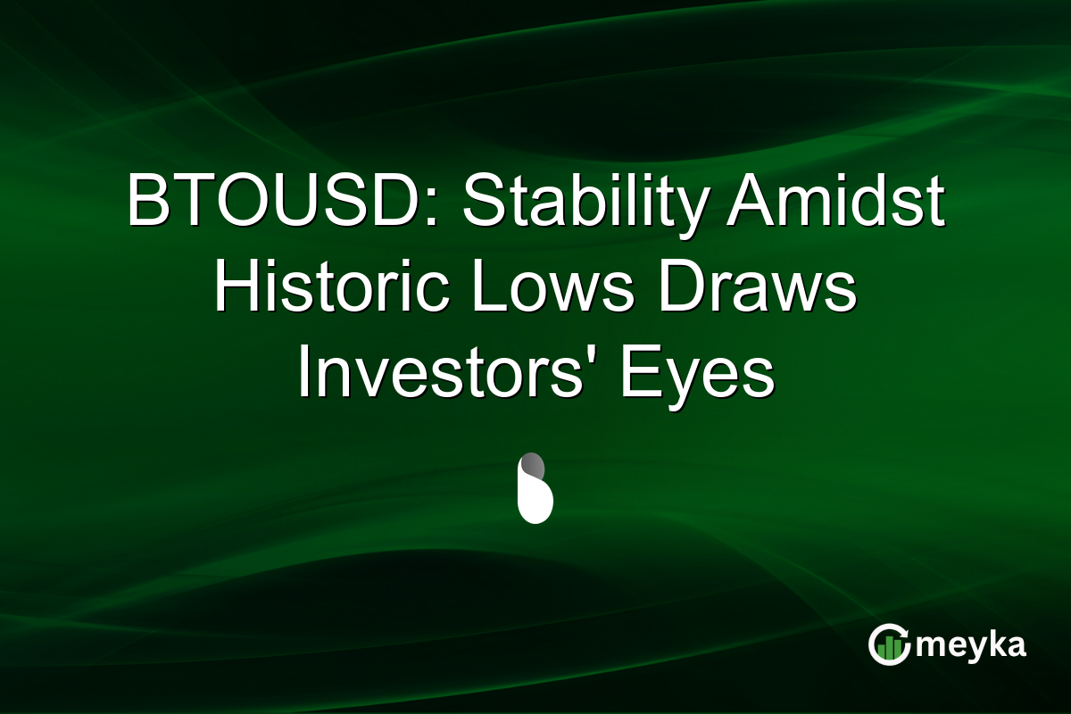 BTOUSD: Stability Amidst Historic Lows Draws Investors' Eyes