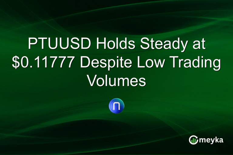 PTUUSD Holds Steady at $0.11777 Despite Low Trading Volumes
