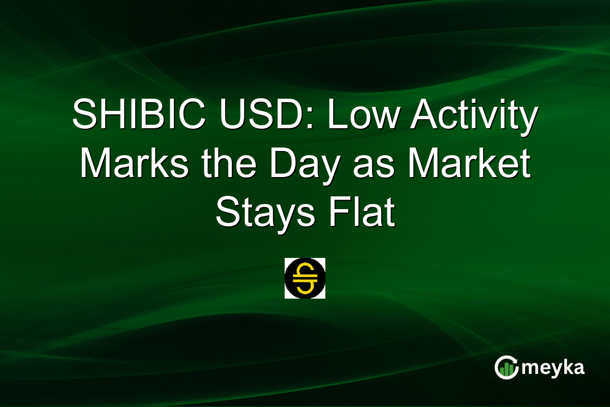 SHIBIC USD: Low Activity Marks the Day as Market Stays Flat