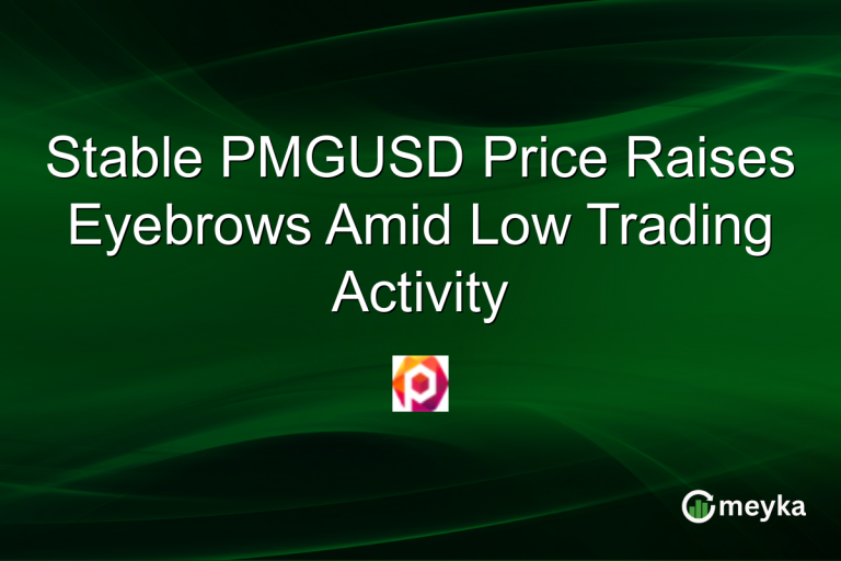 Stable PMGUSD Price Raises Eyebrows Amid Low Trading Activity