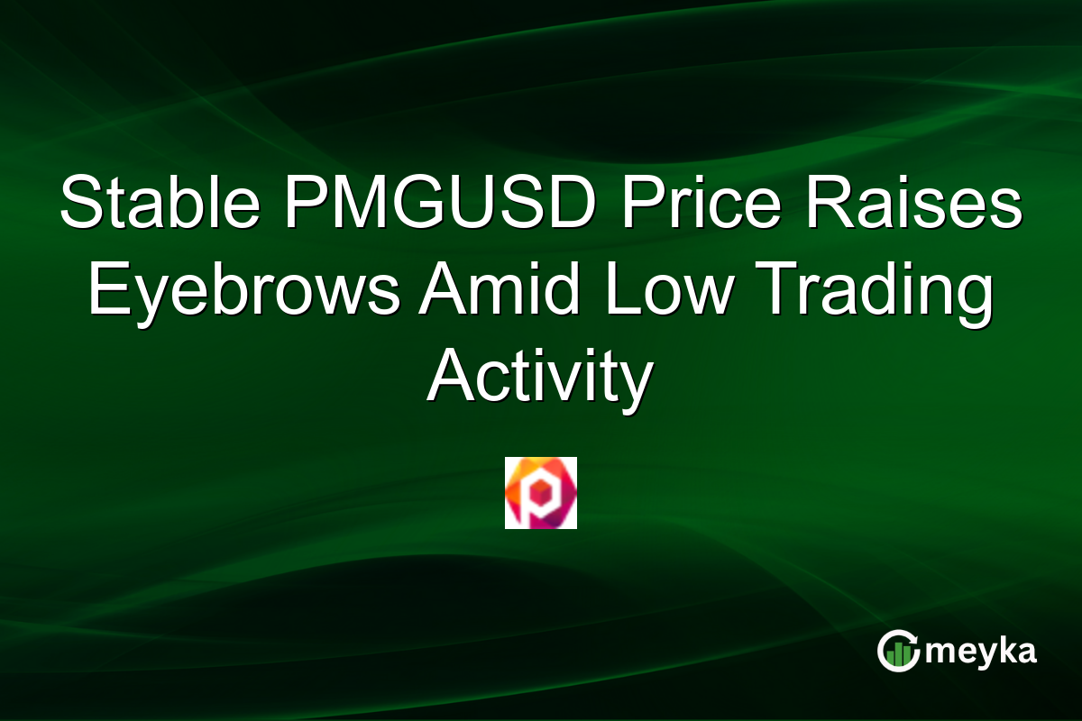 Stable PMGUSD Price Raises Eyebrows Amid Low Trading Activity