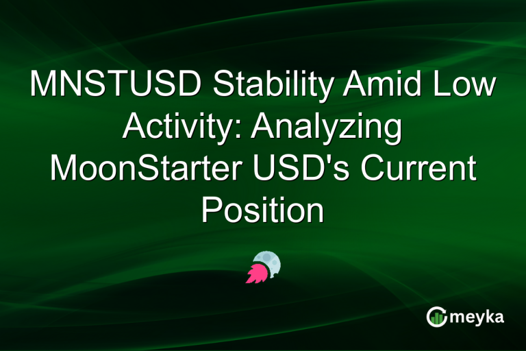 MNSTUSD Stability Amid Low Activity: Analyzing MoonStarter USD's Current Position
