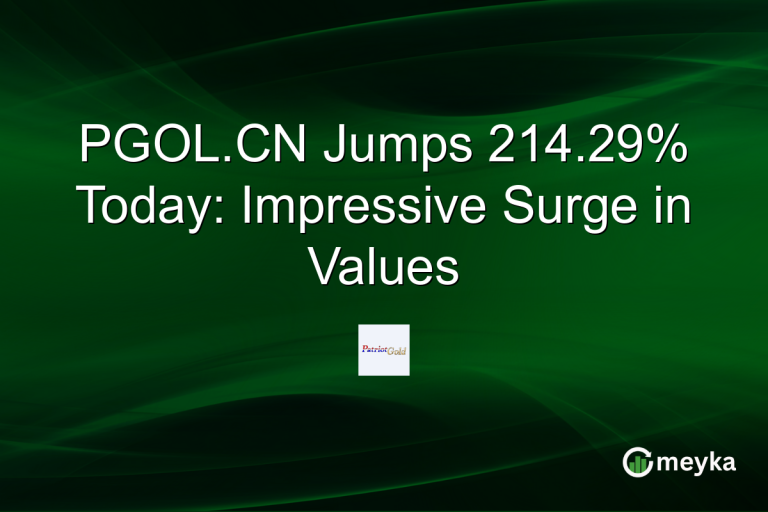 PGOL.CN Jumps 214.29% Today: Impressive Surge in Values