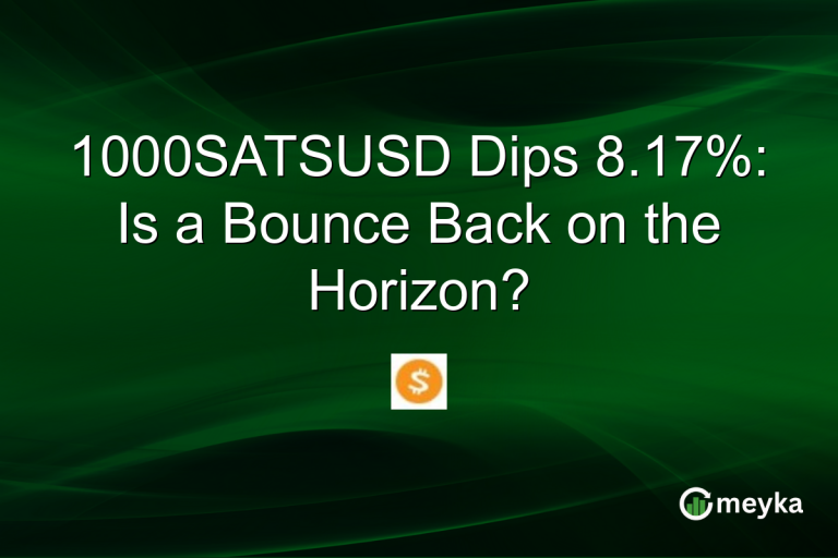 1000SATSUSD Dips 8.17%: Is a Bounce Back on the Horizon?
