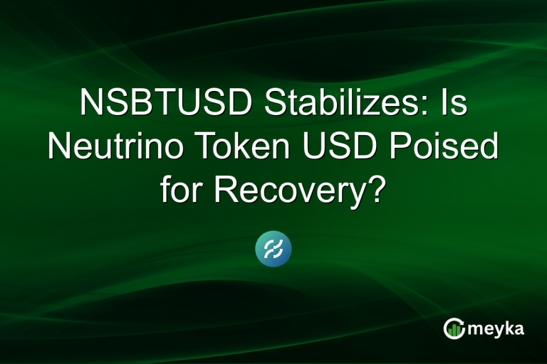 NSBTUSD Stabilizes: Is Neutrino Token USD Poised for Recovery?