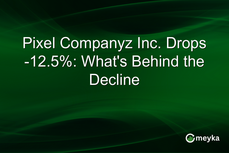 Pixel Companyz Inc. Drops -12.5%: What's Behind the Decline