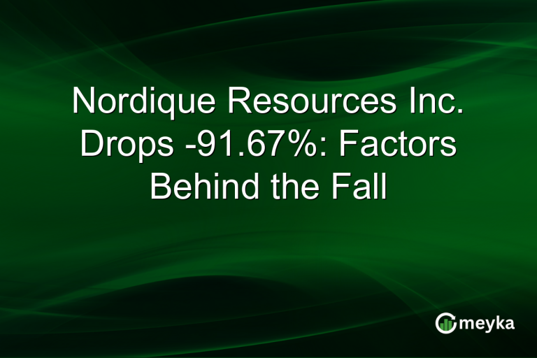 Nordique Resources Inc. Drops -91.67%: Factors Behind the Fall