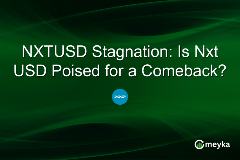 NXTUSD Stagnation: Is Nxt USD Poised for a Comeback?