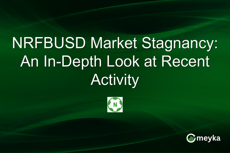NRFBUSD Market Stagnancy: An In-Depth Look at Recent Activity