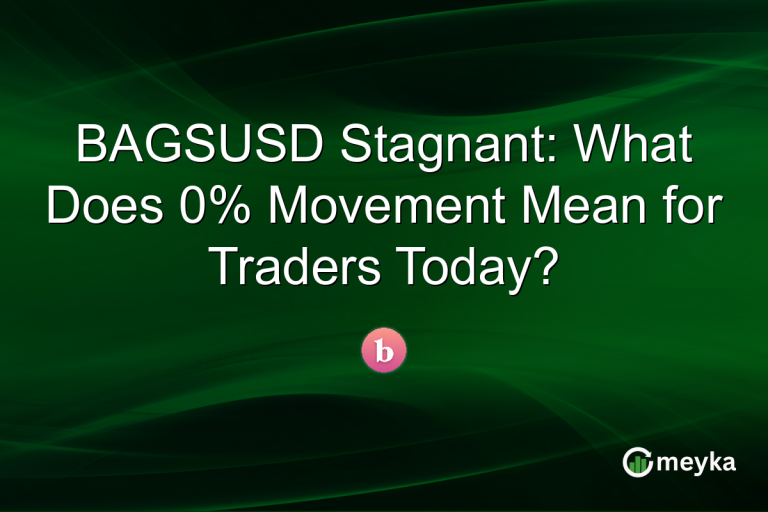 BAGSUSD Stagnant: What Does 0% Movement Mean for Traders Today?