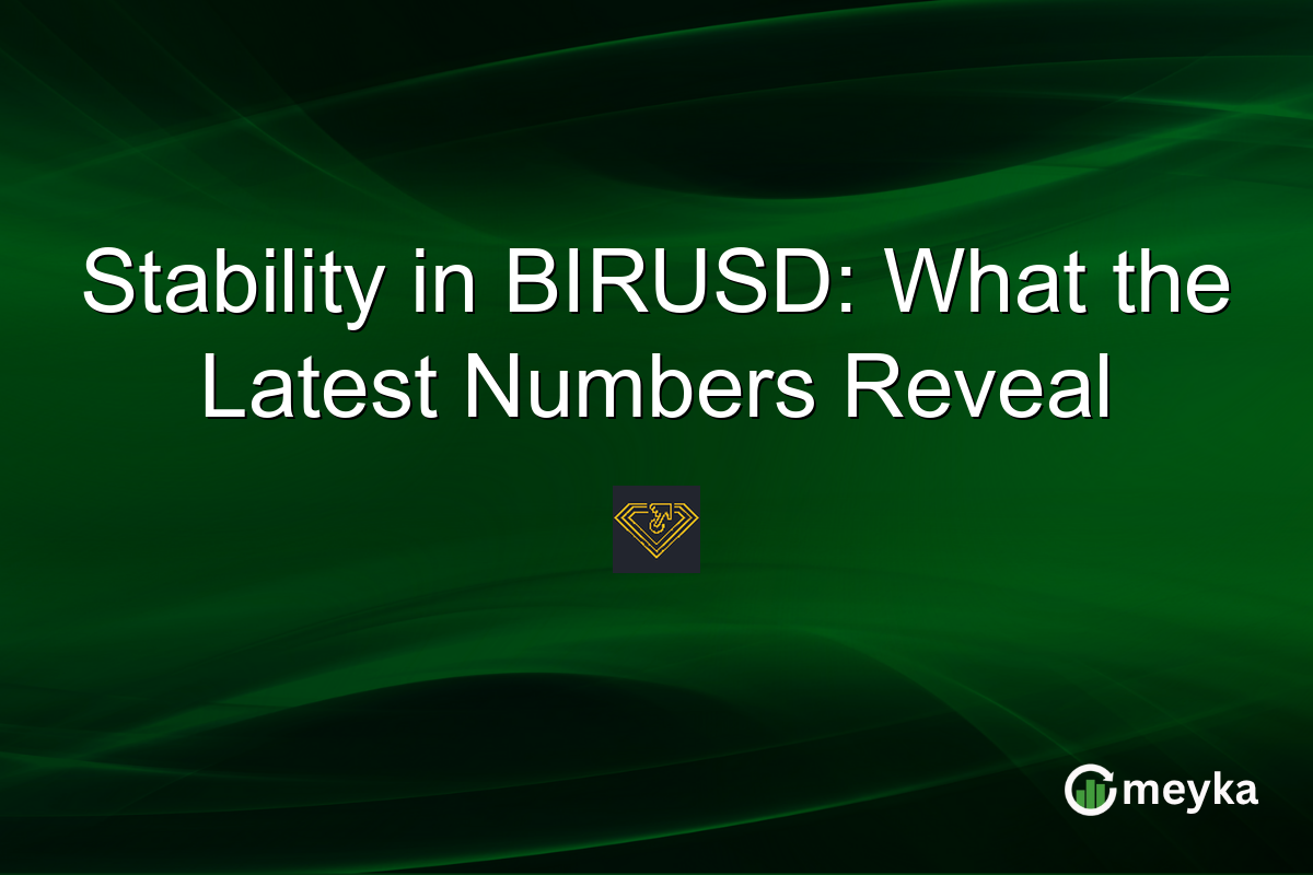 Stability in BIRUSD: What the Latest Numbers Reveal