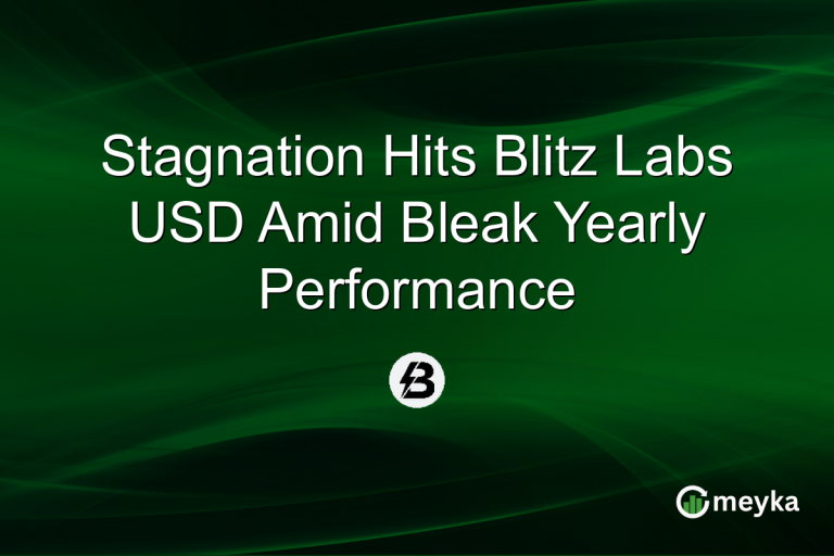 Stagnation Hits Blitz Labs USD Amid Bleak Yearly Performance