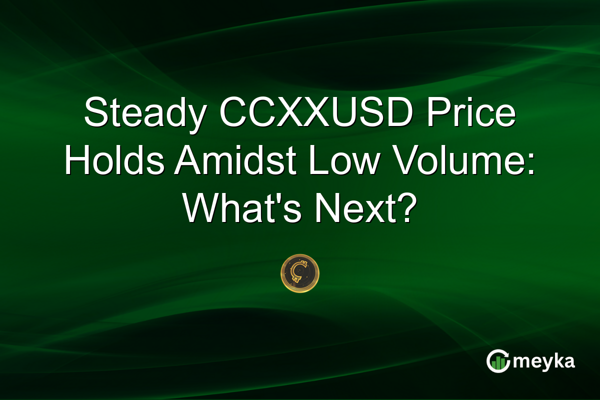 Steady CCXXUSD Price Holds Amidst Low Volume: What's Next?