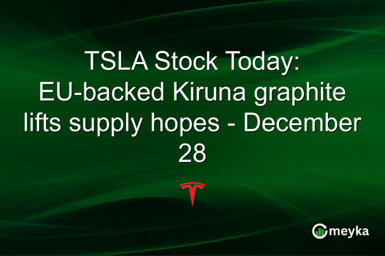 TSLA Stock Today: EU-backed Kiruna graphite lifts supply hopes - December 28