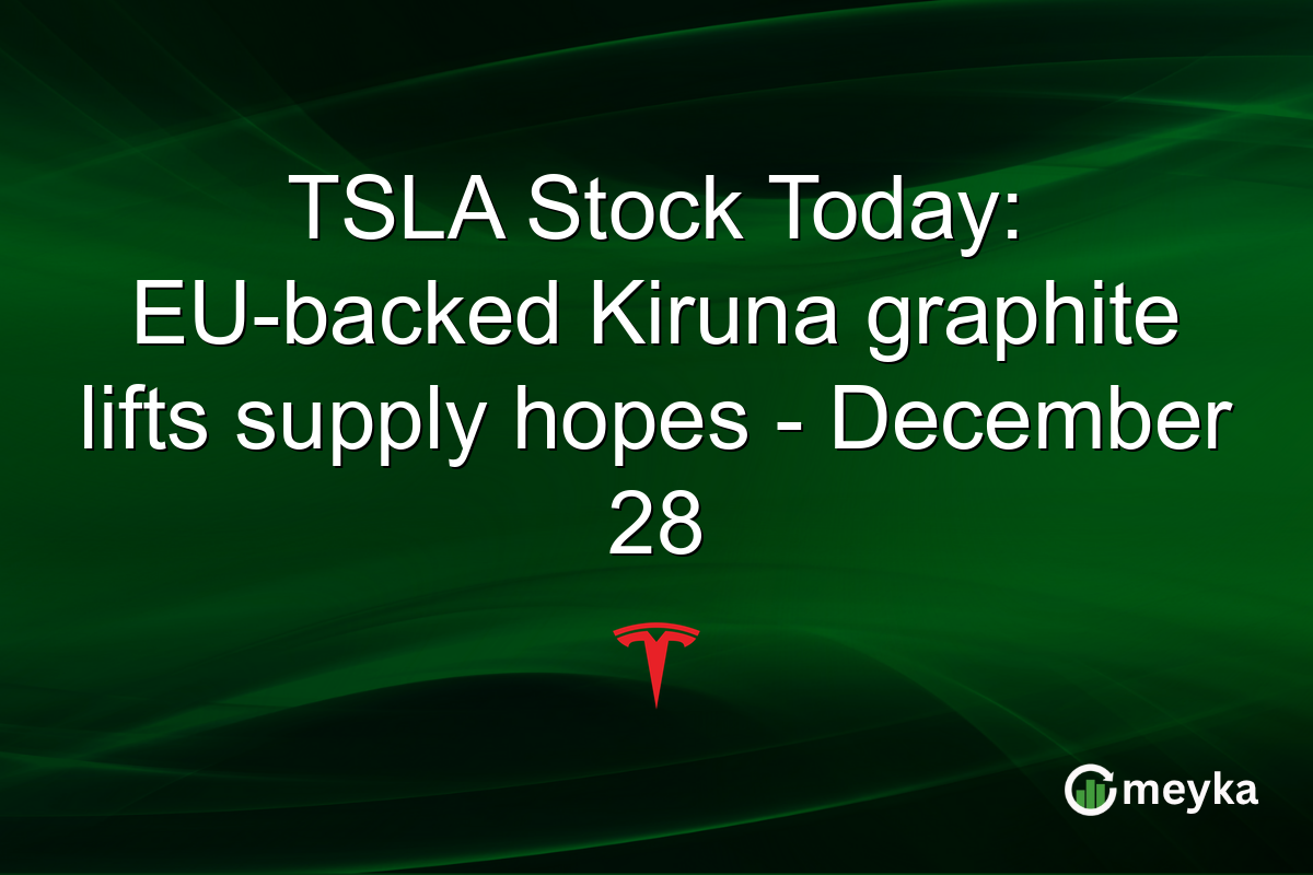 TSLA Stock Today: EU-backed Kiruna graphite lifts supply hopes - December 28