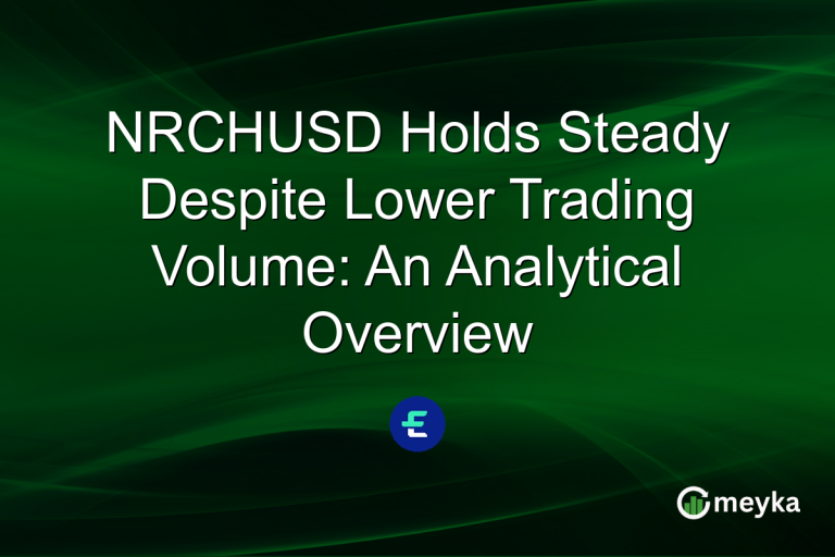 NRCHUSD Holds Steady Despite Lower Trading Volume: An Analytical Overview
