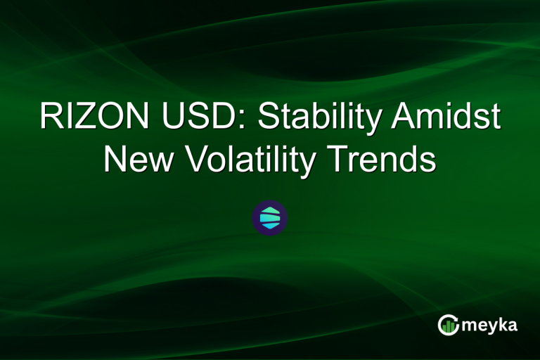 RIZON USD: Stability Amidst New Volatility Trends
