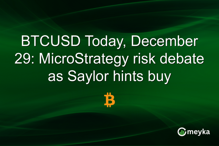 BTCUSD Today, December 29: MicroStrategy risk debate as Saylor hints buy