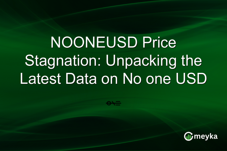 NOONEUSD Price Stagnation: Unpacking the Latest Data on No one USD