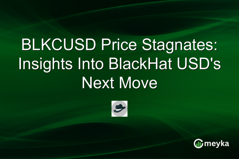BLKCUSD Price Stagnates: Insights Into BlackHat USD's Next Move
