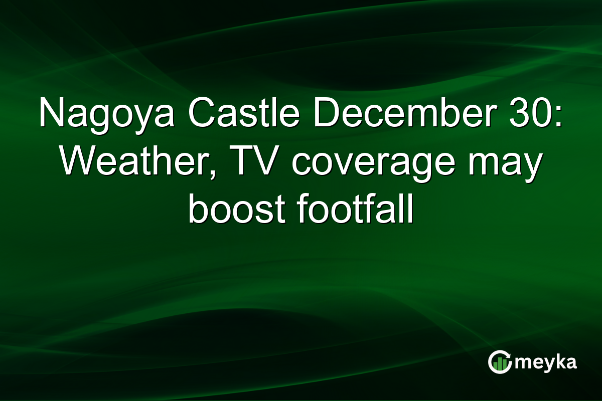 Nagoya Castle December 30: Weather, TV coverage may boost footfall