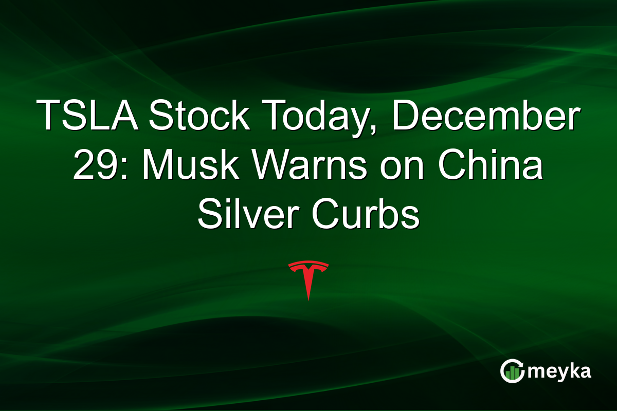 TSLA Stock Today, December 29: Musk Warns on China Silver Curbs
