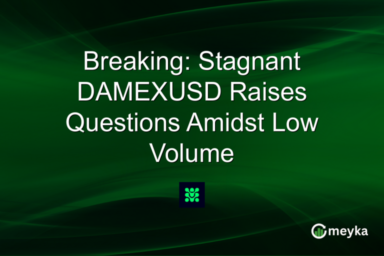 Breaking: Stagnant DAMEXUSD Raises Questions Amidst Low Volume