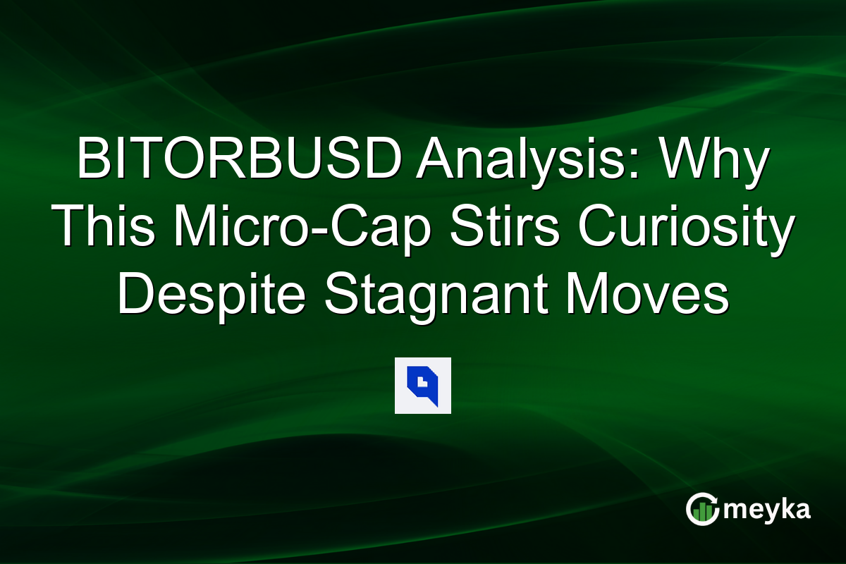 BITORBUSD Analysis: Why This Micro-Cap Stirs Curiosity Despite Stagnant Moves