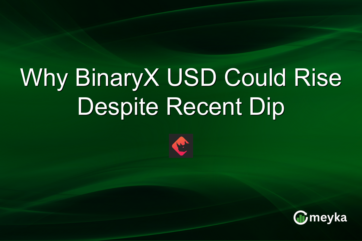 Why BinaryX USD Could Rise Despite Recent Dip