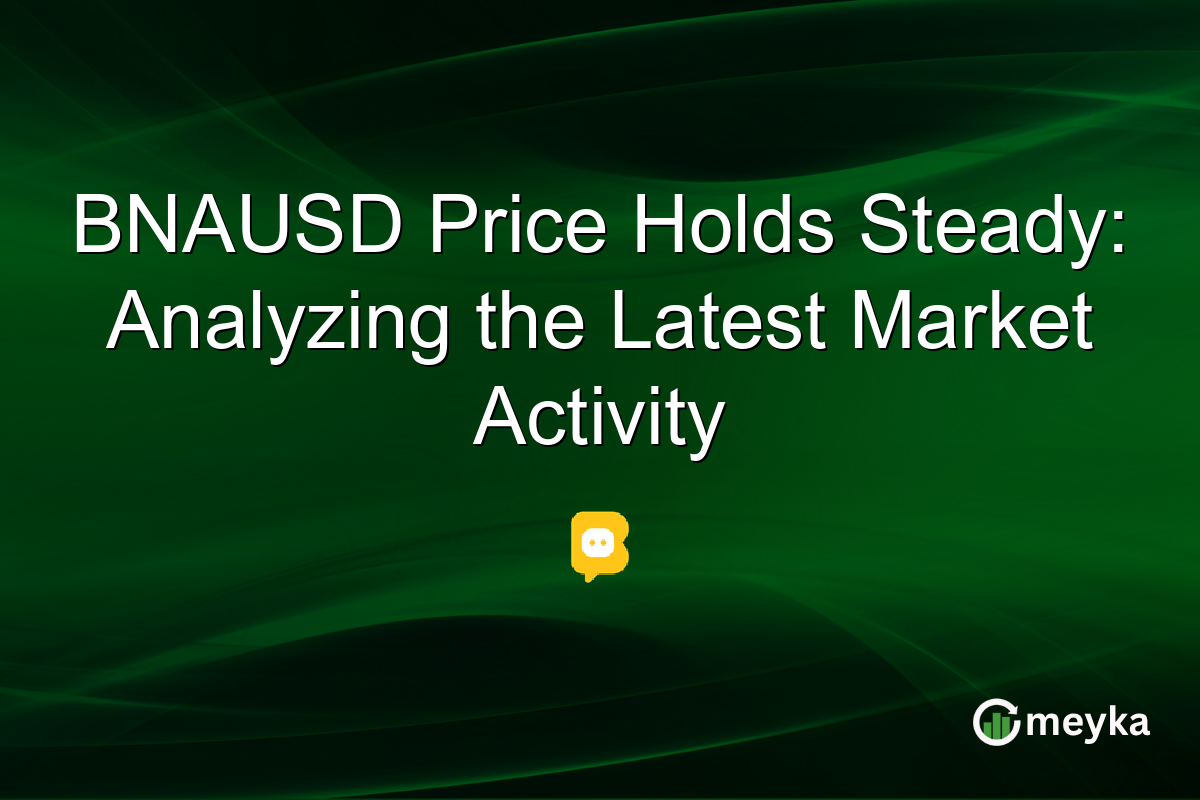 BNAUSD Price Holds Steady: Analyzing the Latest Market Activity