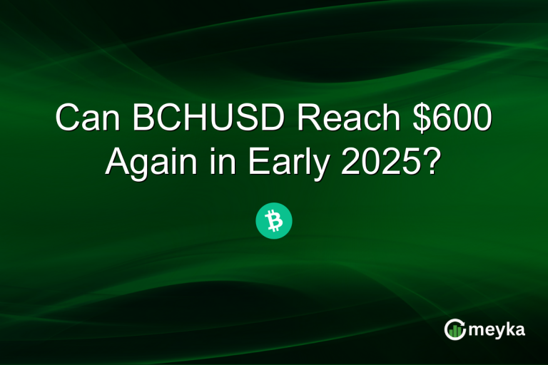 Can BCHUSD Reach $600 Again in Early 2025?