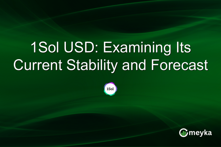 1Sol USD: Examining Its Current Stability and Forecast