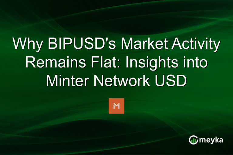 Why BIPUSD's Market Activity Remains Flat: Insights into Minter Network USD