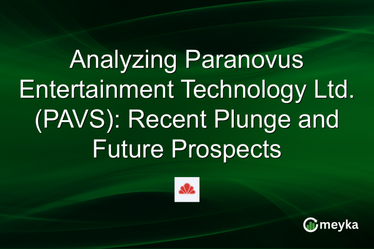 Analyzing Paranovus Entertainment Technology Ltd. (PAVS): Recent Plunge and Future Prospects