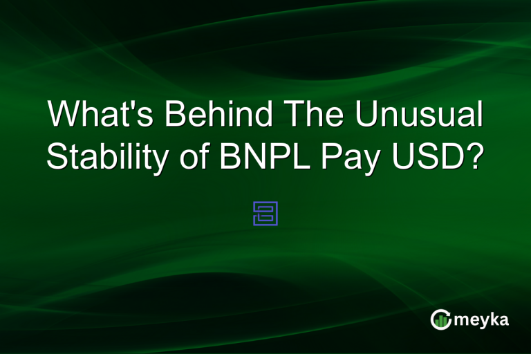 What's Behind The Unusual Stability of BNPL Pay USD?