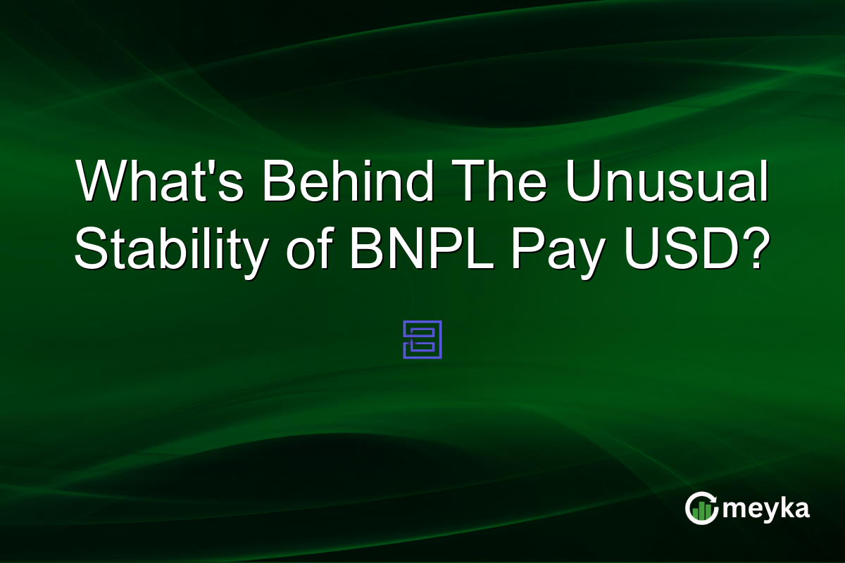 What's Behind The Unusual Stability of BNPL Pay USD?