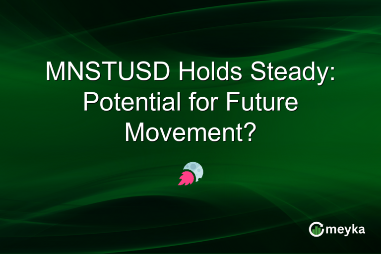 MNSTUSD Holds Steady: Potential for Future Movement?