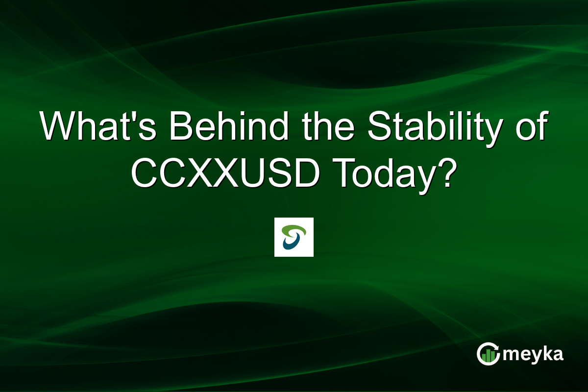 What's Behind the Stability of CCXXUSD Today?