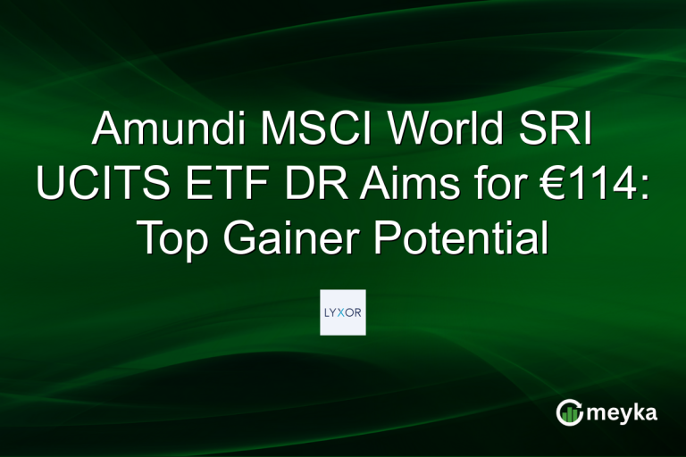 Amundi MSCI World SRI UCITS ETF DR Aims for €114: Top Gainer Potential