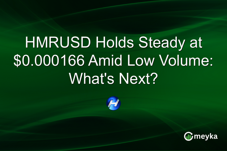 HMRUSD Holds Steady at $0.000166 Amid Low Volume: What's Next?
