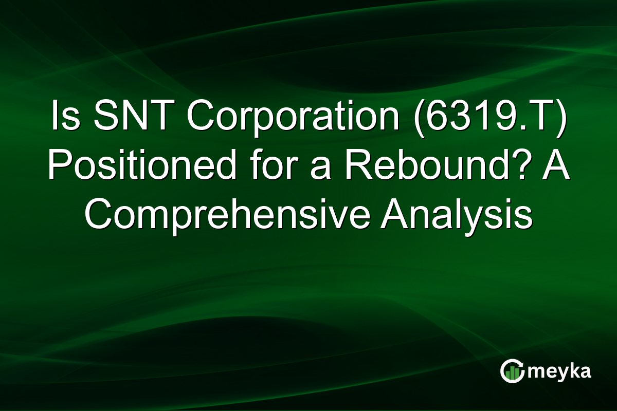 Is SNT Corporation (6319.T) Positioned for a Rebound? A Comprehensive Analysis