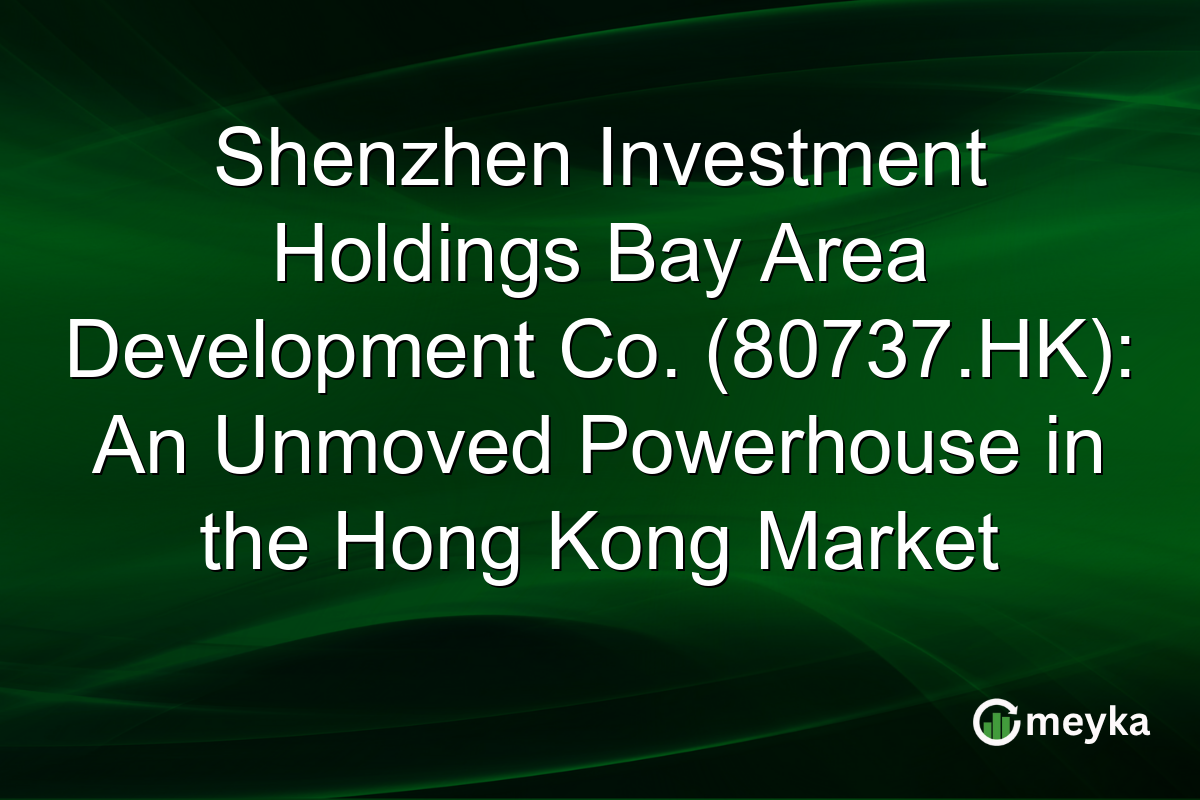 Shenzhen Investment Holdings Bay Area Development Co. (80737.HK): An Unmoved Powerhouse in the Hong Kong Market