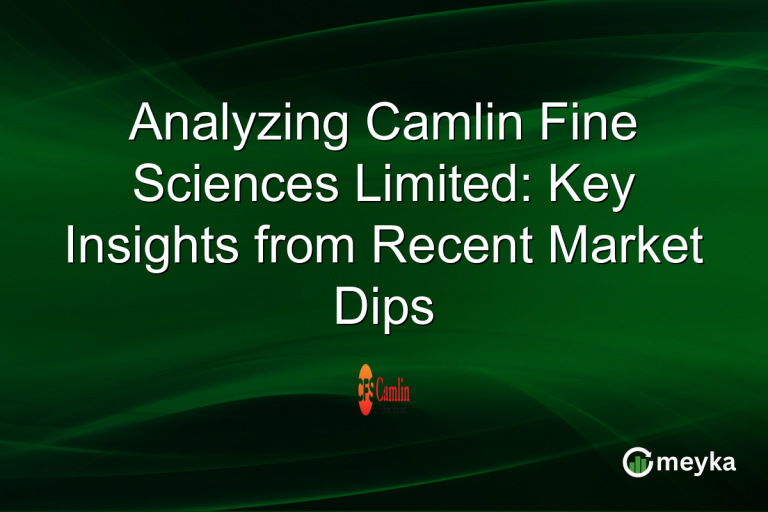 Analyzing Camlin Fine Sciences Limited: Key Insights from Recent Market Dips