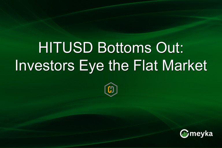 HITUSD Bottoms Out: Investors Eye the Flat Market