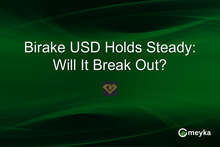Birake USD Holds Steady: Will It Break Out?