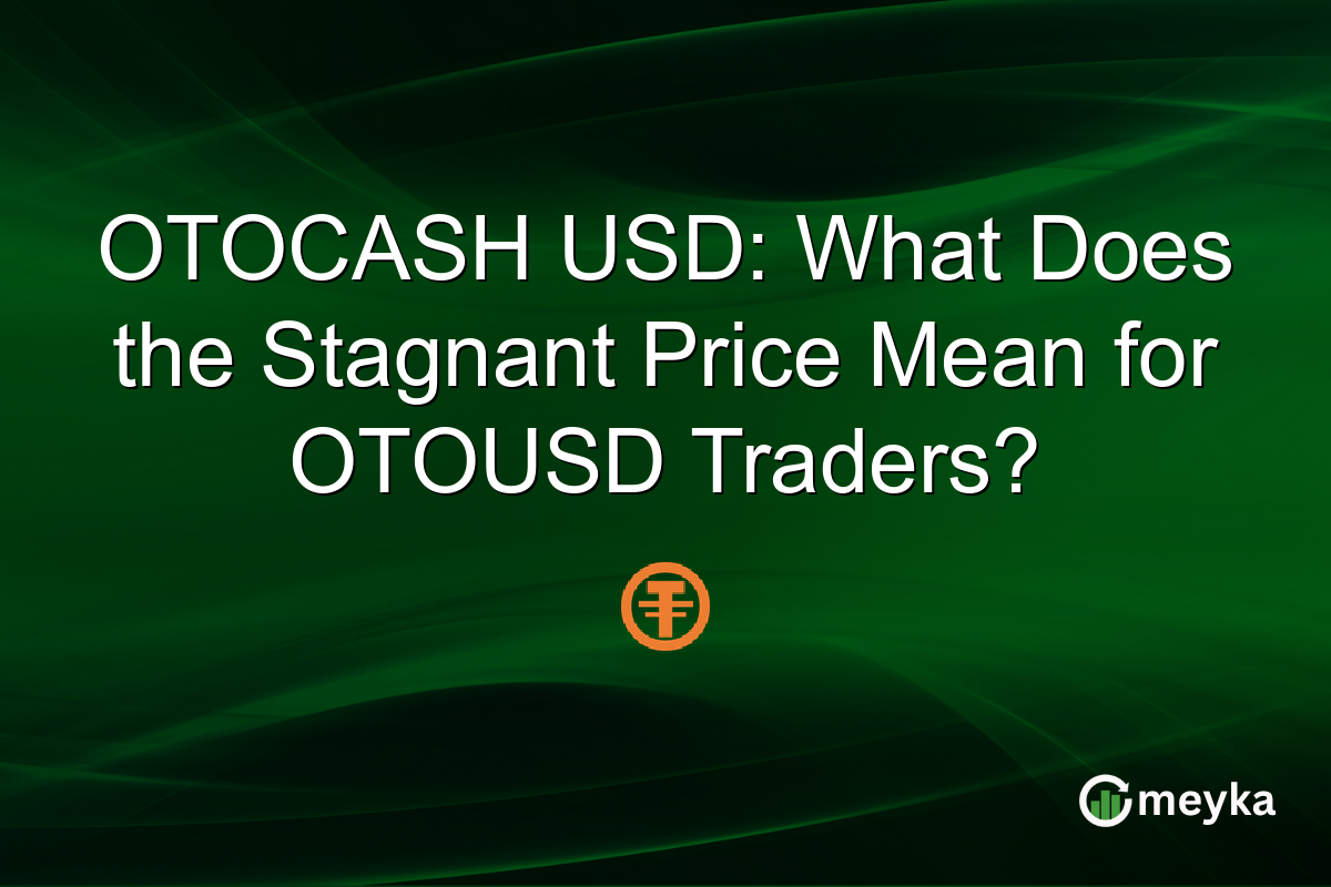 OTOCASH USD: What Does the Stagnant Price Mean for OTOUSD Traders?