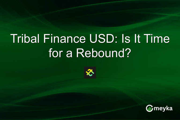 Tribal Finance USD: Is It Time for a Rebound?
